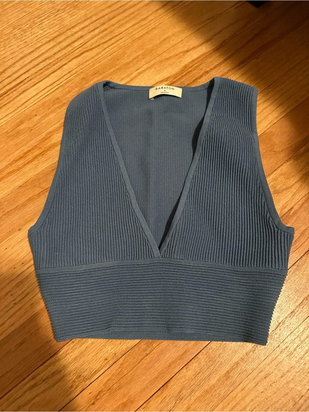 Aritzia Babaton Ribbed V-Neck Tank Top in Slate Blue